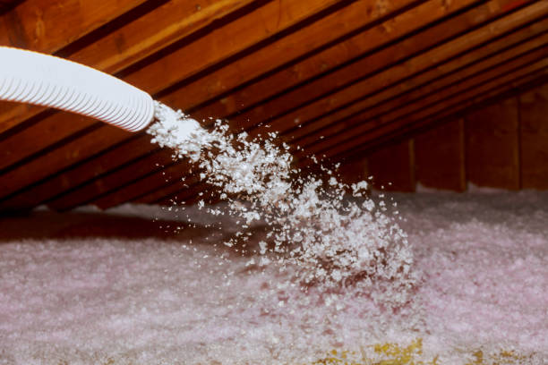 Best Commercial Insulation in Dayton, MN