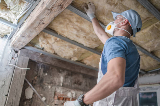 Best Insulation for Specific Applications in Dayton, MN
